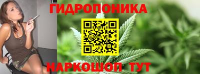 эйфоретик Новодвинск