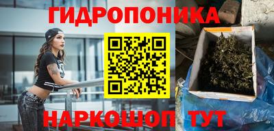 эйфоретик Новодвинск