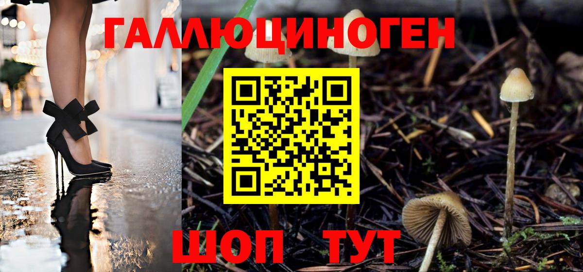 Псилоцибиновые грибы Magic Shrooms Славгород