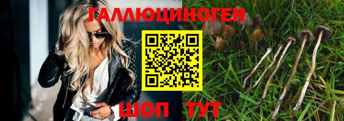 Галлюциногенные грибы прущие грибы  Вход с VPN  Славгород  Галлюциногенные грибы мухоморы 